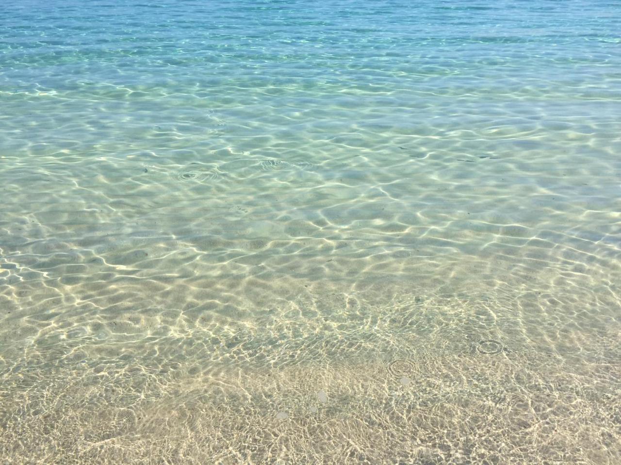 Casa Colonia Διαμέρισμα Colonia de Sant Jordi Εξωτερικό φωτογραφία